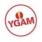 YGAM (Young Gamers and Gamblers Education Trust)